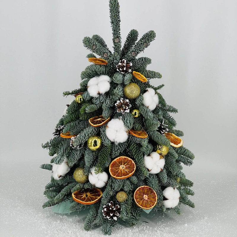 Декоративная ёлочка новогодняя из живой хвои нобилис 50 см, стандартный