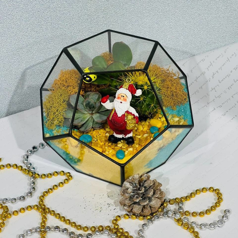 Florarium s Dedom Morozom, standart