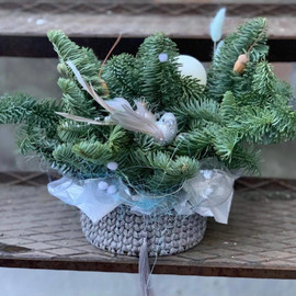 Новогодний букет из живого нобилиса в вязаном кашпо ручной работы