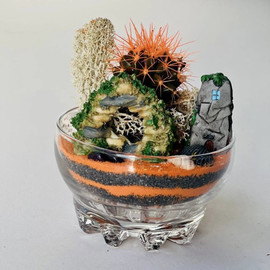 Kaktus v bokale. Mini florarium
