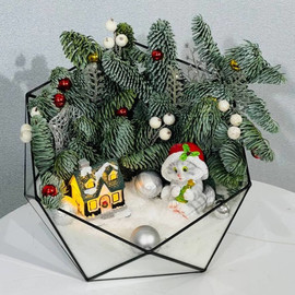 Novogodnij suvenir florarium s vetochkami nobilisa