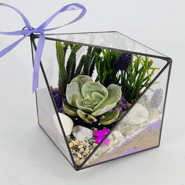 Inter_ernij florarium s sukkulentami i kamennoj rozoj eheveriej