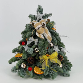 Elochka iz nobilisa 40 sm