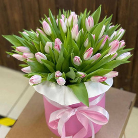Букет из 51 розового тюльпана