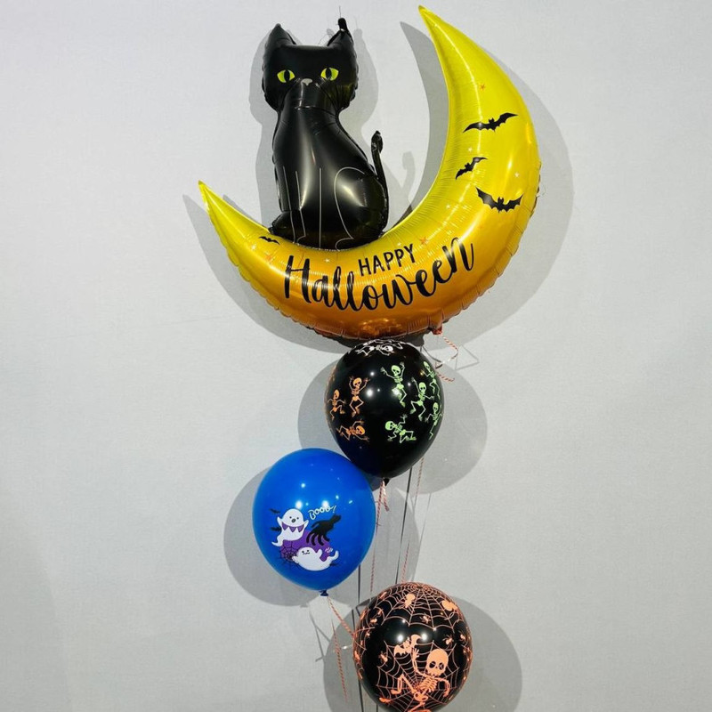 SHar chyornij kot na mesyatce na Hellouin, standart