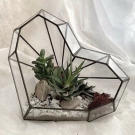 Florarium serdtce s sukkulentami havortiya, denezhnoe derevo