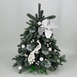 Декоративная ель из лапника хвои нобилис  натуральной 50 см