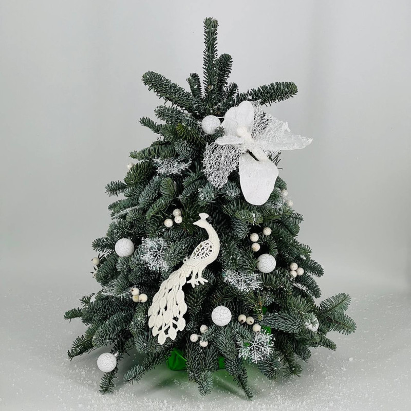 Dekorativnaya el_ iz lapnika hvoi nobilis  natural_noj 50 sm, standart