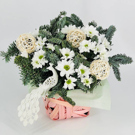 Зимняя композиция с живыми цветами и натуральным нобилисом