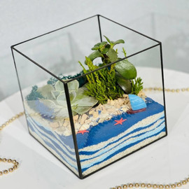 Florarium "Morskoj briz"