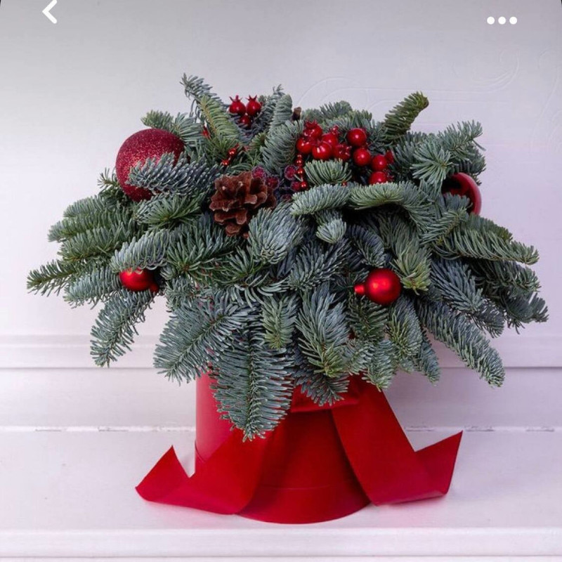 Зимний букет из нобилиса в коробке, стандартный