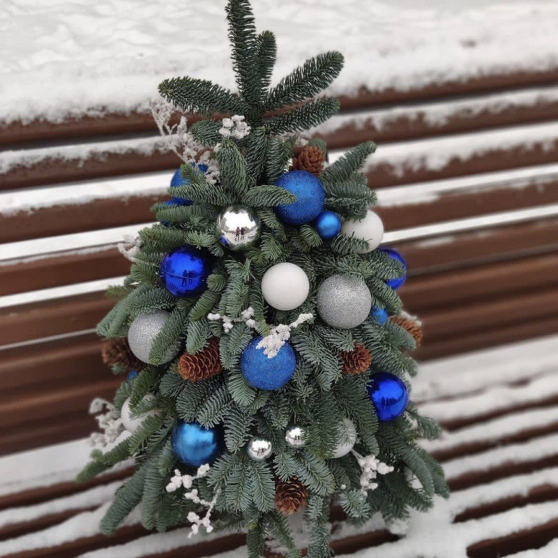 Ёлка из натуральной хвои нобилис 40 см, стандартный