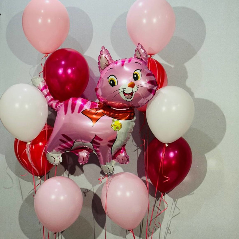 Nabor vozdushnih sharov s koshechkoj na den_ rozhdeniya devochki, standart