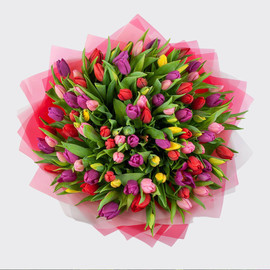 Ogromnij buket raznotcvetnih tyul_panov 101 sht