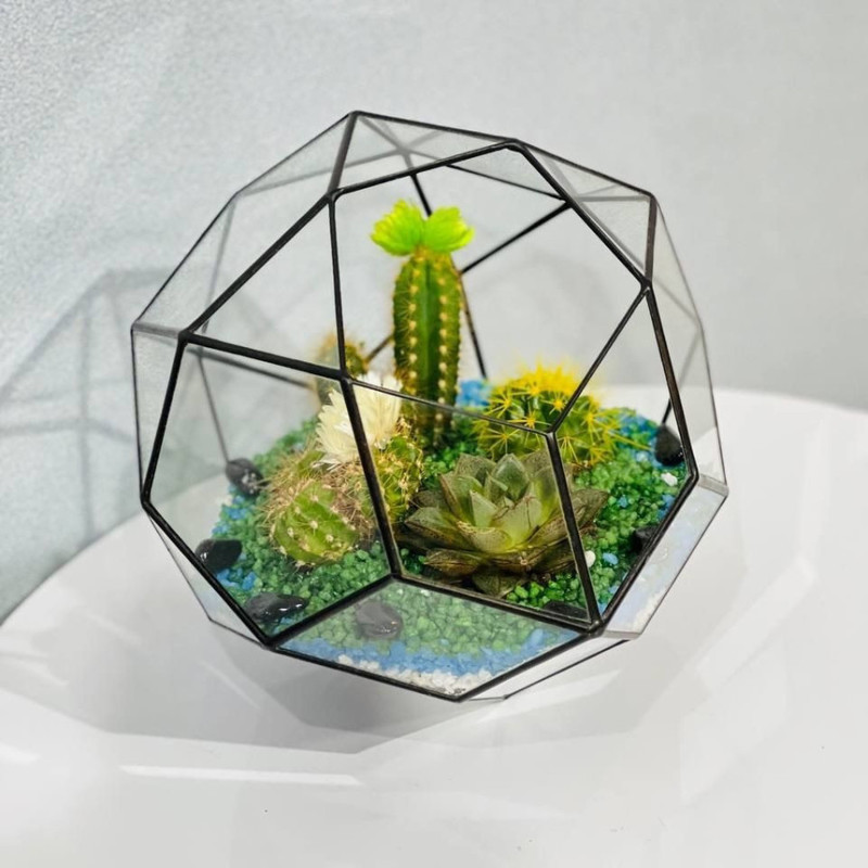 Florarium s kaktusami i kamennoj rozoj, standart