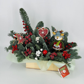 Nastol_naya kompozitciya iz zhivogo nobilisa v derevyannom yashike