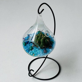 Флорариум с кактусом на подвесе