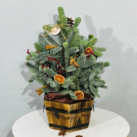 Дизайнерская ёлочка из натуральной хвои нобилис  40 см