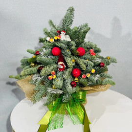 Рождественская композиция мини ёлочка из нобилиса 30 см