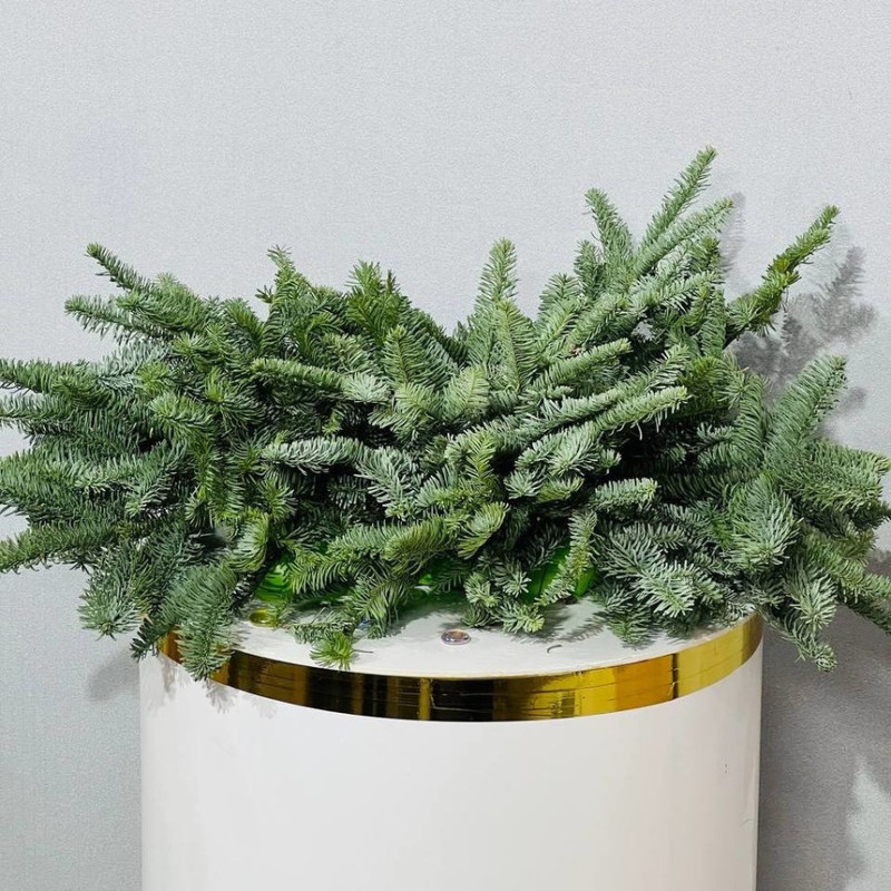 Композиция из нобилиса на стол, стандартный