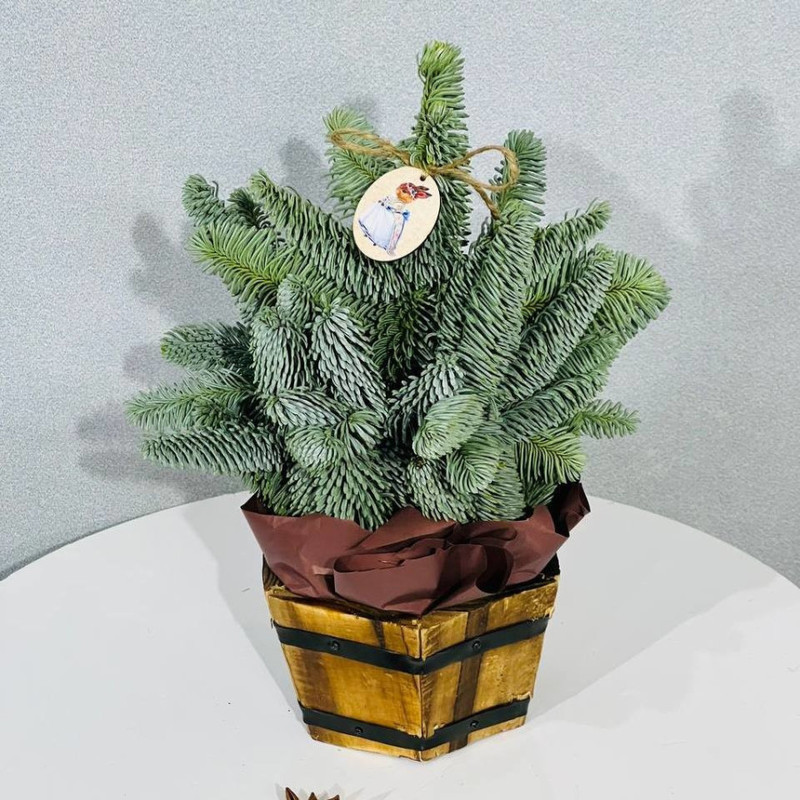 Новогодняя ёлочка для руководителя из нобилиса в деревянном кашпо, стандартный
