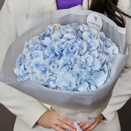 Roskoshnij buket iz golubih gortenzij