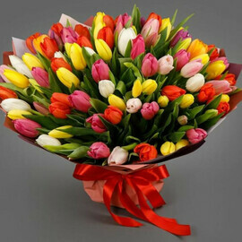 Buket tyul_panov 101 shtuka, krasno-belo-zhyoltij miks