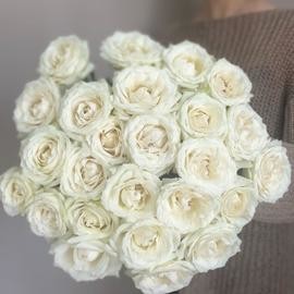 Роза белая 25 шт