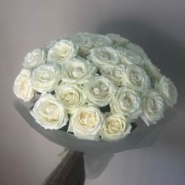 Roza belaya 25 sht v upakovke