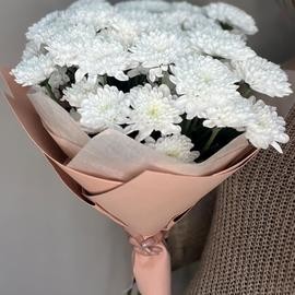 Хризантема белая 7 шт в упаковке