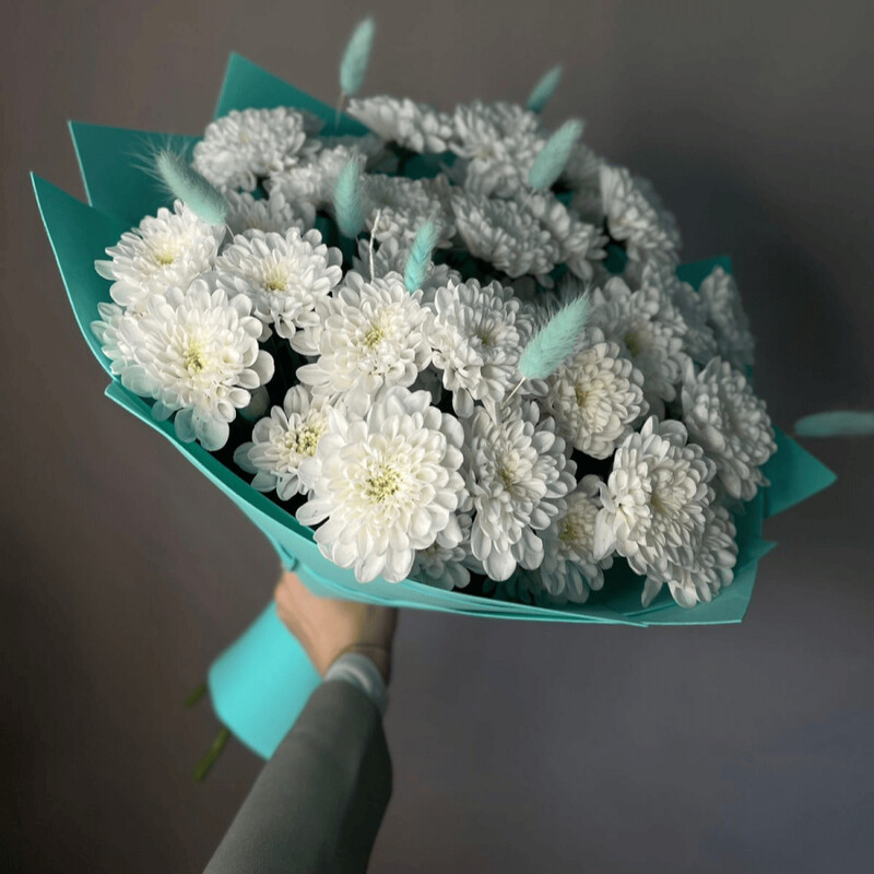 Plat_itce v goroshek, standart