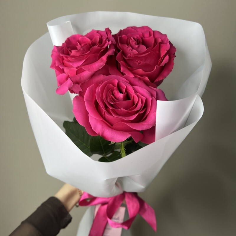 Roza "Full Monti" 3sht v upakovke, roza "full monti" 3sht v upakovke