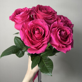Роза "Фулл Монти" 5шт 