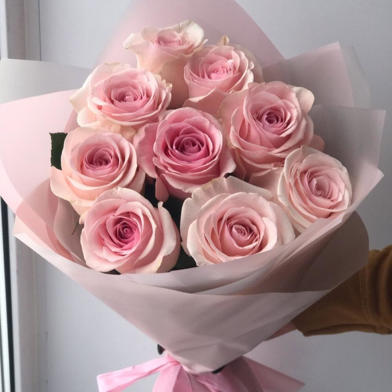 Rozovoe chudo, standart