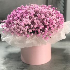 Цветы в коробке Воздушная гипсофила