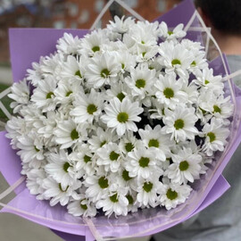 Букет-гигант из хризантем-ромашек