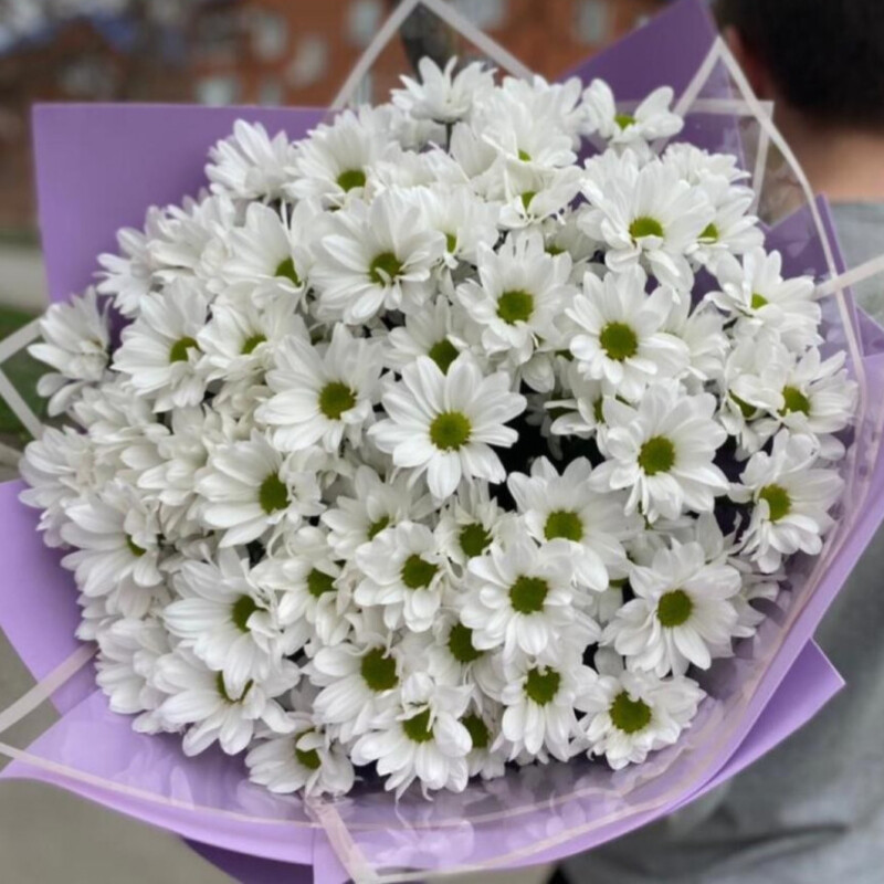 Buket-gigant iz hrizantem-romashek, standart