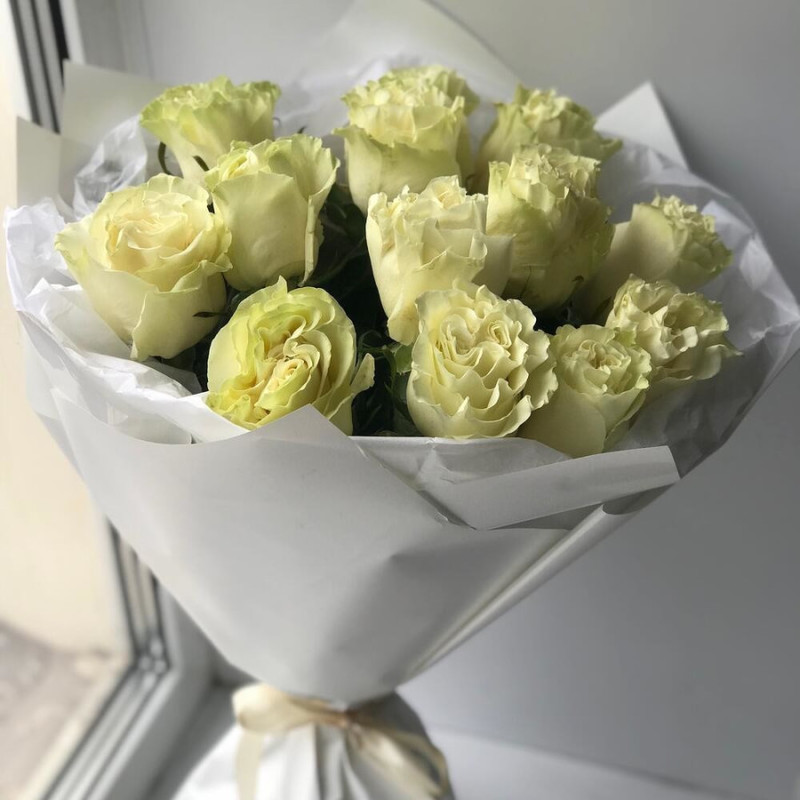 Belaya mechta, standart