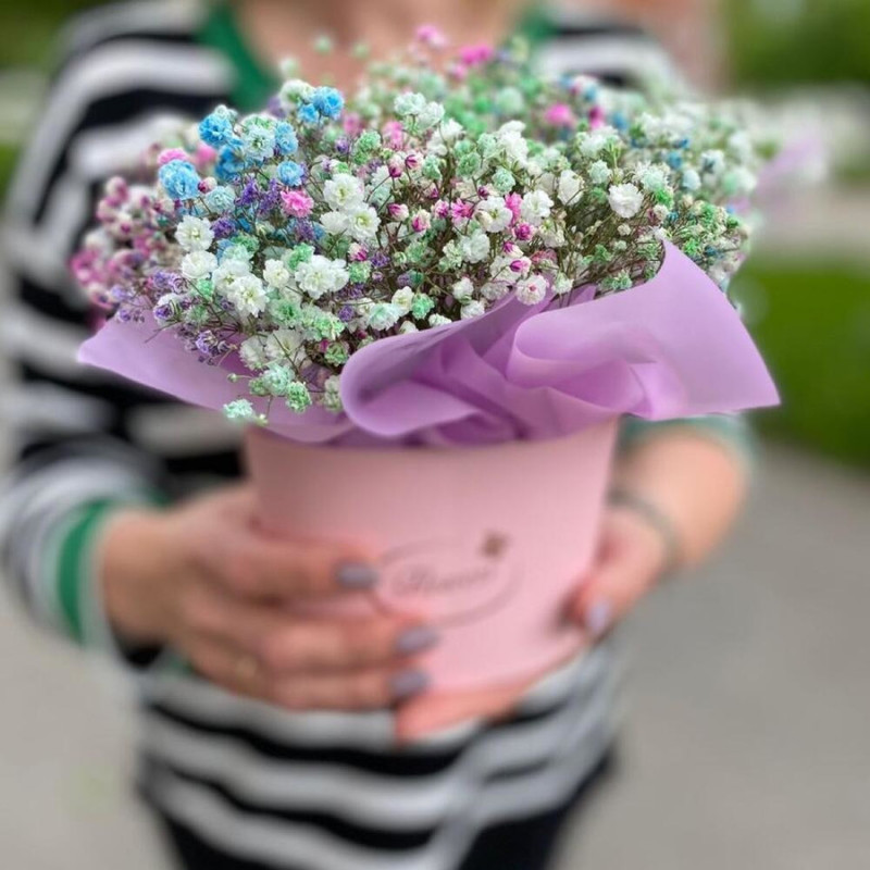 Korobochka s gipsofiloj, standart