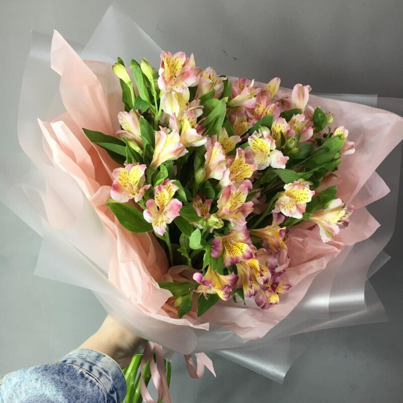 Mono iz al_stromerij, standart