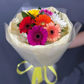 Buket iz mini gerber