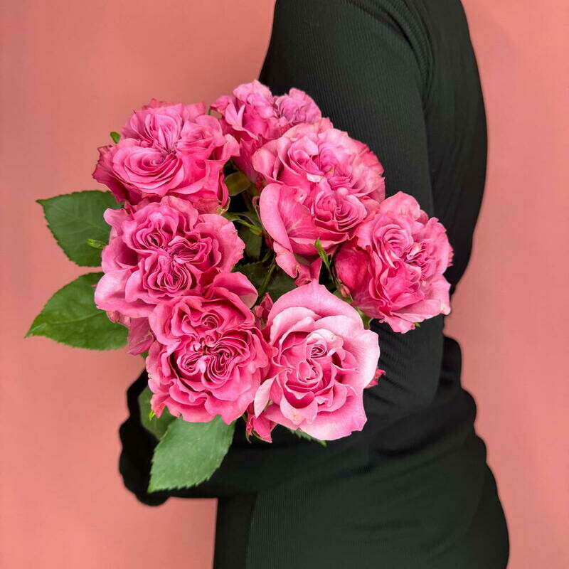 Buket 2150 | 7 roz kantri blyu pod lentu, reduced