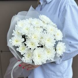 Букет «Нежный зефир»