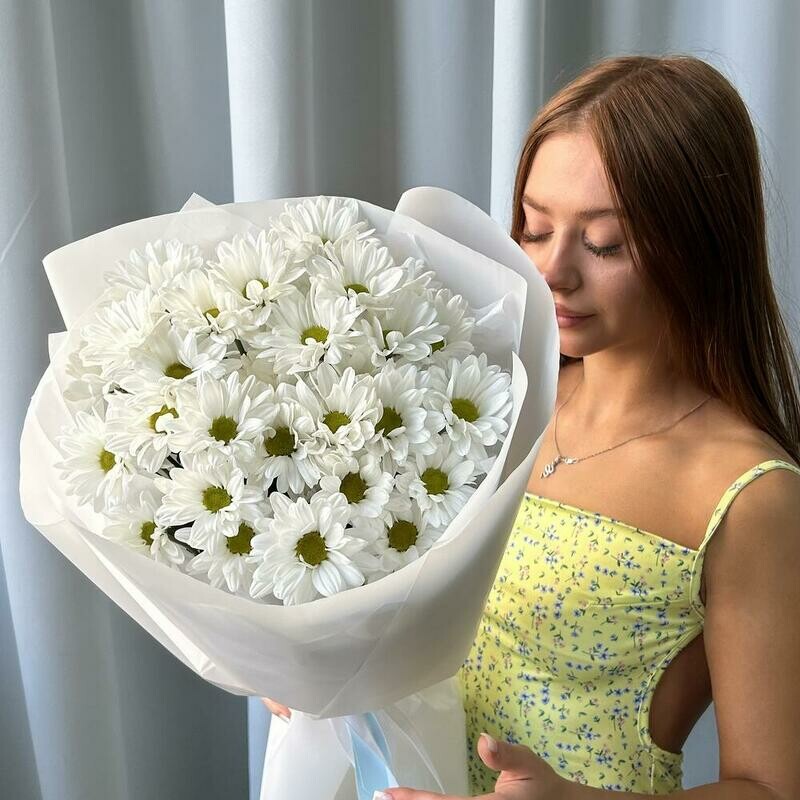 5 vetok hrizantema kustovaya romashka, standart