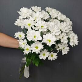 Buket iz 5 romashkovih hrizantem