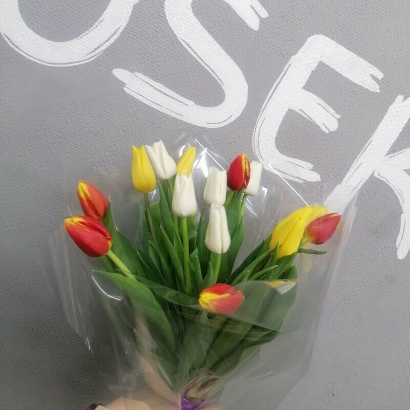 15 tyul_panov, standart