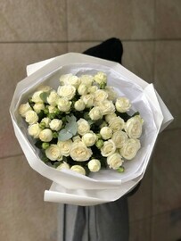 belosnezhnie kustovie rozi