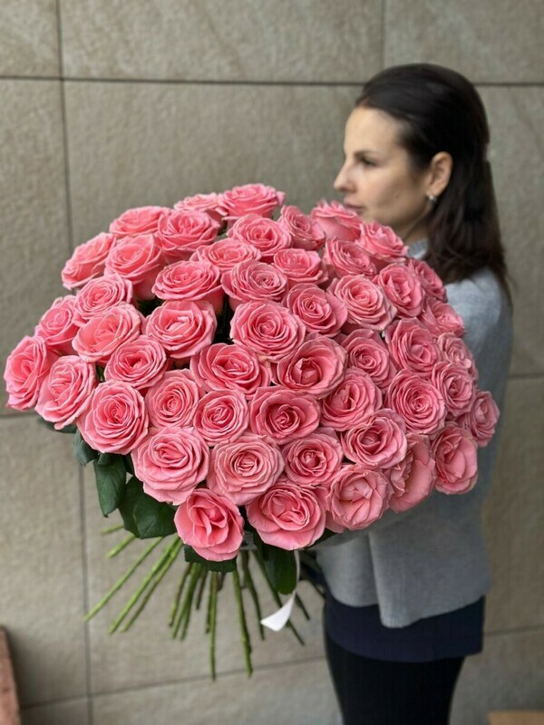 sofi loren 51, standart