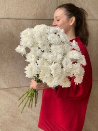 buket iz belih hrizantem