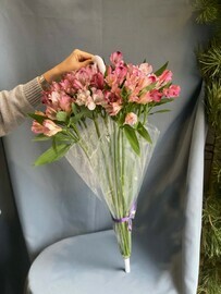 al_stromeriya v zontike